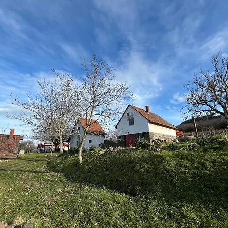 度假居 Erdodi Liget Badacsony Hegyen Nemesgulács