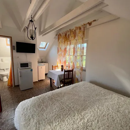 Erdodi Liget Badacsony Hegyen 度假居