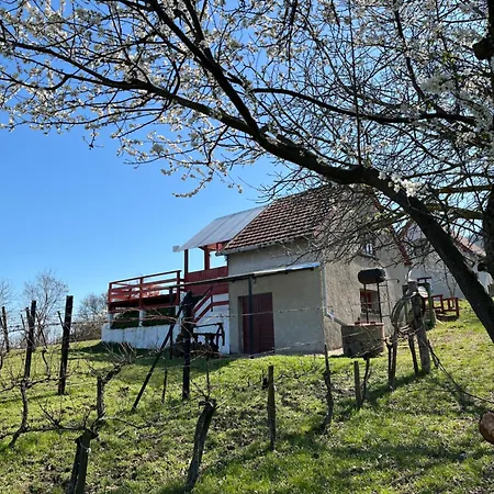 Erdodi Liget Badacsony Hegyen 度假居 Nemesgulács