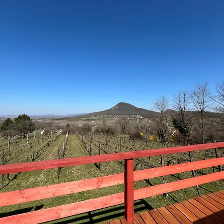 Erdodi Liget Badacsony Hegyen 度假居