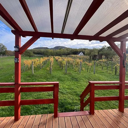 度假居 Erdodi Liget Badacsony Hegyen