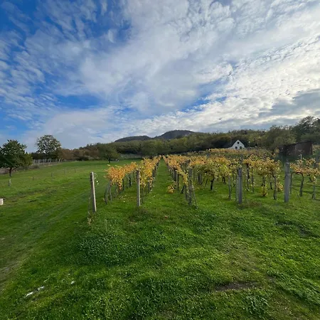 Erdodi Liget Badacsony Hegyen Nemesgulács