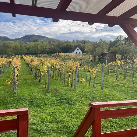 Erdodi Liget Badacsony Hegyen * Nemesgulács