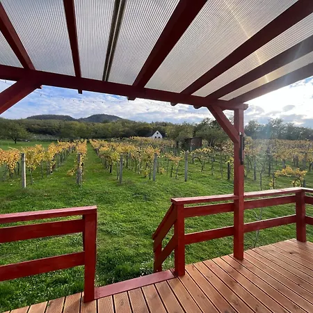 Erdodi Liget Badacsony Hegyen Nemesgulács