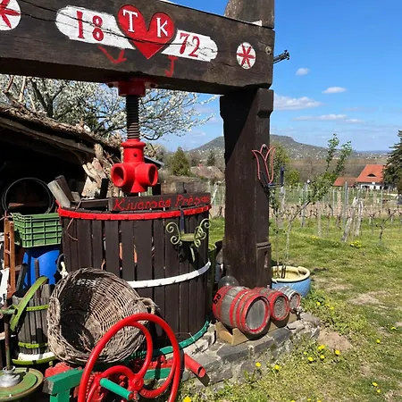 Erdodi Liget Badacsony Hegyen Nemesgulács