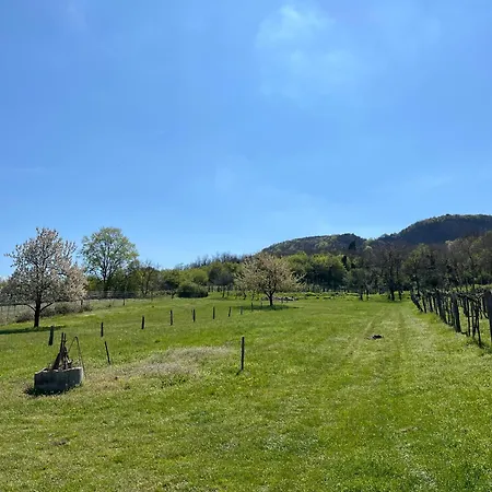 Erdodi Liget Badacsony Hegyen *