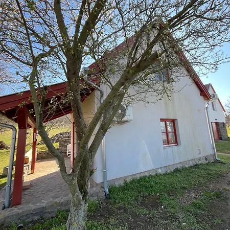 度假居 Erdodi Liget Badacsony Hegyen Nemesgulács