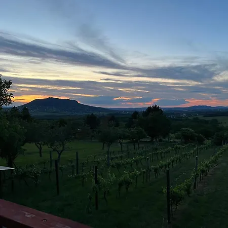 Erdodi Liget Badacsony Hegyen