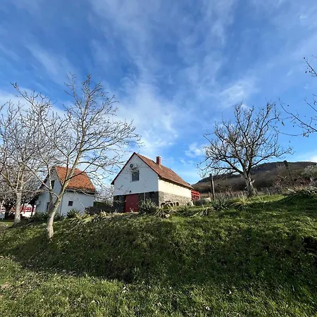 Erdodi Liget Badacsony Hegyen