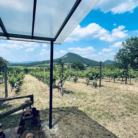 Erdodi Liget Badacsony Hegyen