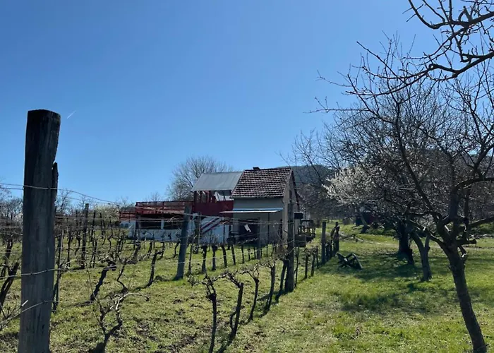 Erdodi Liget Badacsony Hegyen Nemesgulács