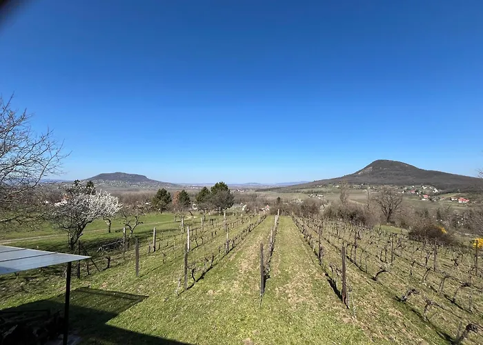 Erdodi Liget Badacsony Hegyen Σπίτι διακοπών *