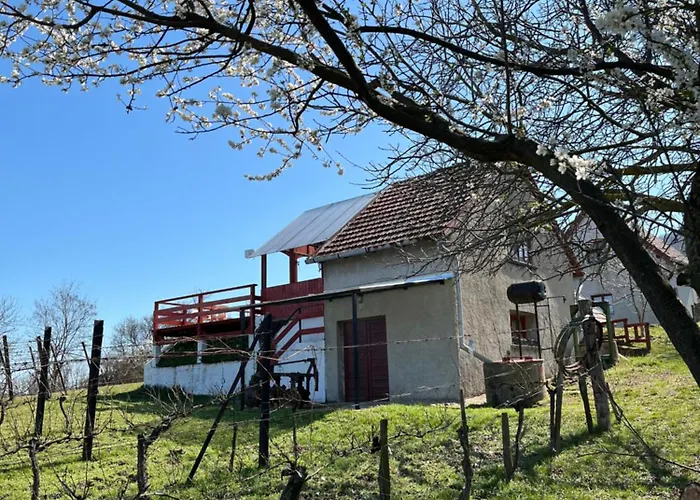 Erdodi Liget Badacsony Hegyen בית נופש Nemesgulács