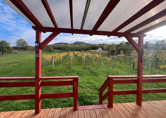 Σπίτι διακοπών Erdodi Liget Badacsony Hegyen