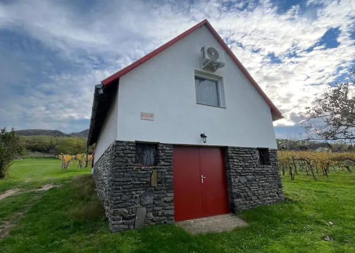 Σπίτι διακοπών Erdodi Liget Badacsony Hegyen Nemesgulács