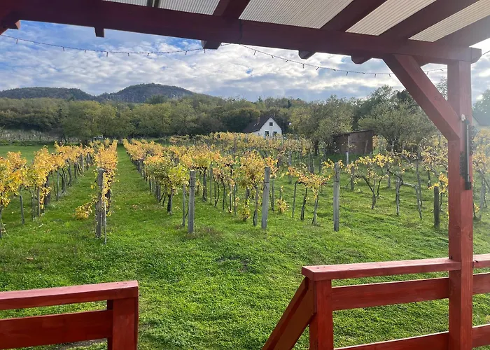 Erdodi Liget Badacsony Hegyen * Nemesgulács