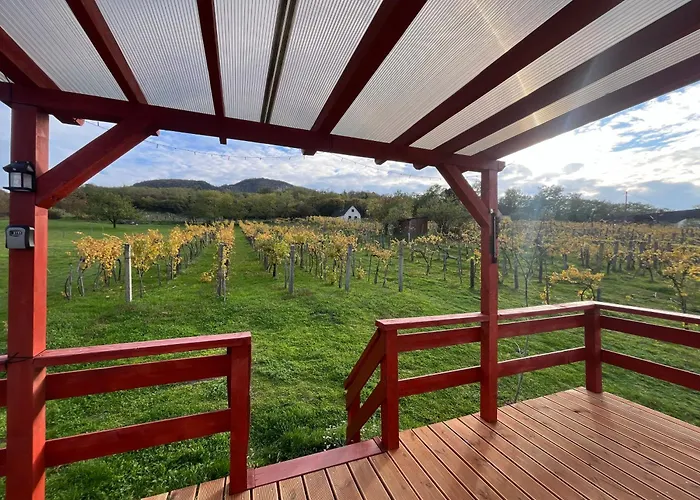 Erdodi Liget Badacsony Hegyen Nemesgulács