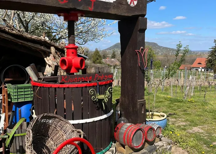 Erdodi Liget Badacsony Hegyen Nemesgulács