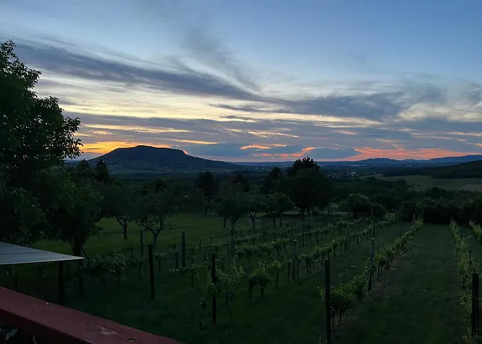 Erdodi Liget Badacsony Hegyen