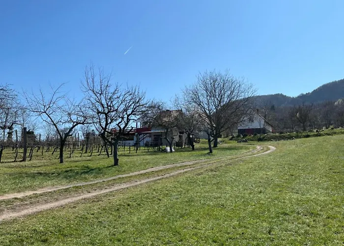 Erdodi Liget Badacsony Hegyen * Nemesgulács