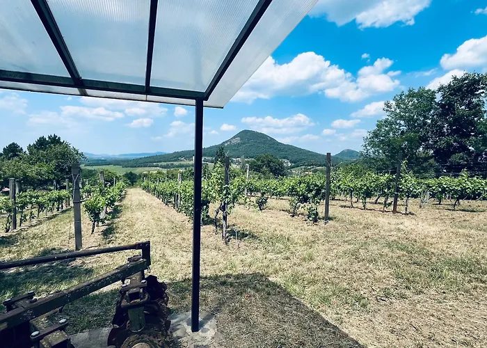 Erdodi Liget Badacsony Hegyen